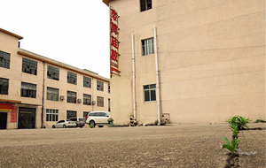 “論實(shí)力說(shuō)話”專(zhuān)業(yè)硅膠制品廠家！